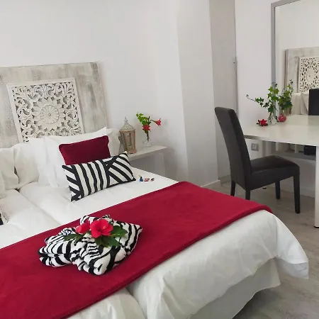 Plaza San Marcos Casco Hstorico Con Parking * 이코드레로스비노스