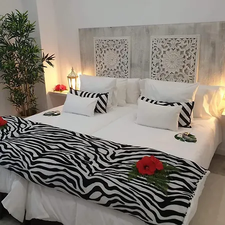 Plaza San Marcos Casco Hstorico Con Parking 아파트 이코드레로스비노스