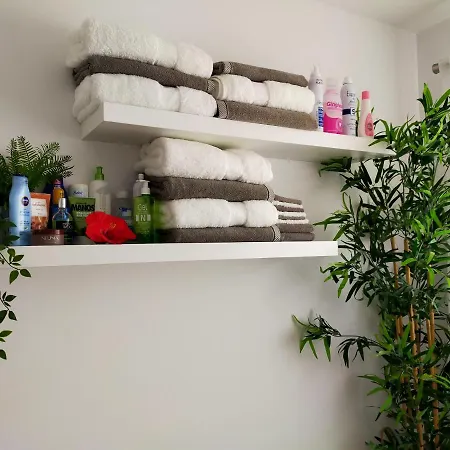 Plaza San Marcos Casco Hstorico Icod De Los Vinos