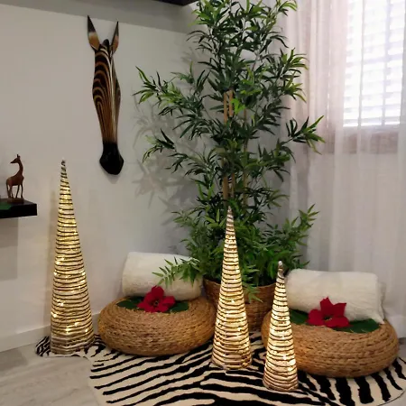 Apartament Plaza San Marcos Casco Hstorico *