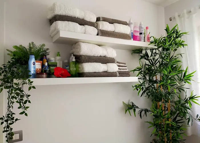 Plaza San Marcos Casco Hstorico إيكود ذي لوس فينوس