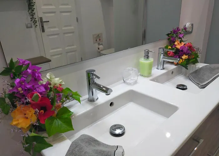 Plaza San Marcos Casco Hstorico إيكود ذي لوس فينوس