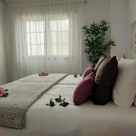 Plaza San Marcos Casco Hstorico *