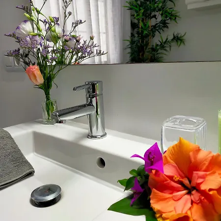 Apartamento Plaza San Marcos Casco Hstorico Icod De Los Vinos