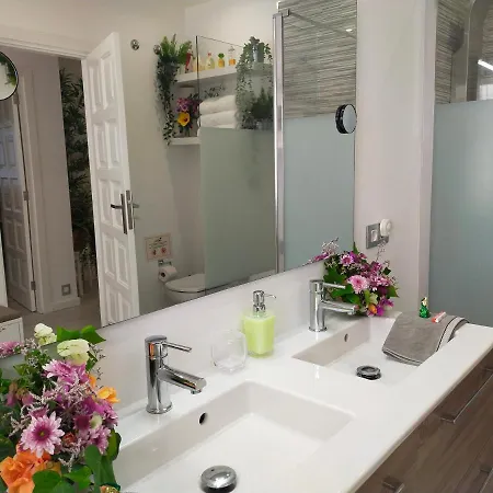 Plaza San Marcos Casco Hstorico Apartamento *